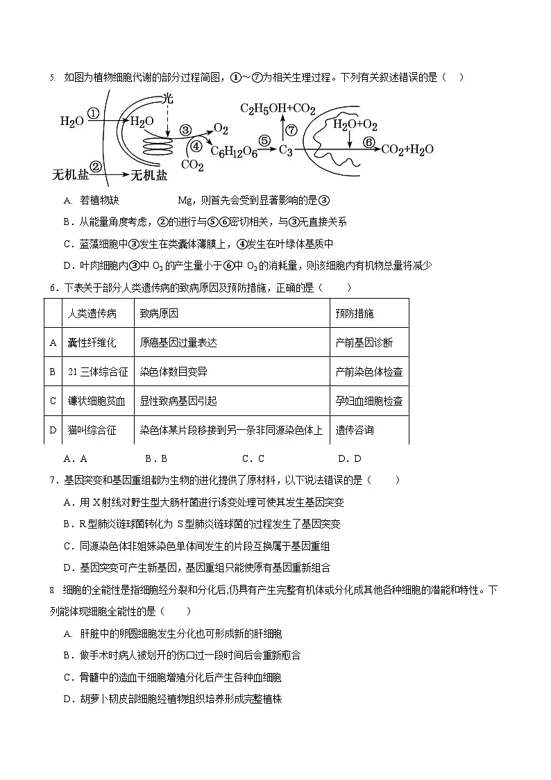 江西省宜春市丰城市第九中学2025-2026学年高二上学期开学考试生物试卷第2页