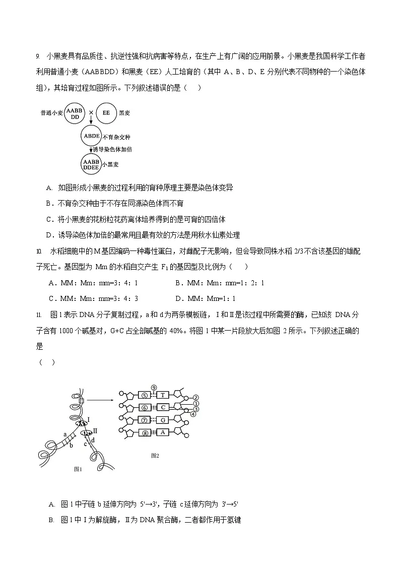 江西省宜春市丰城市第九中学2025-2026学年高二上学期开学考试生物试卷第3页