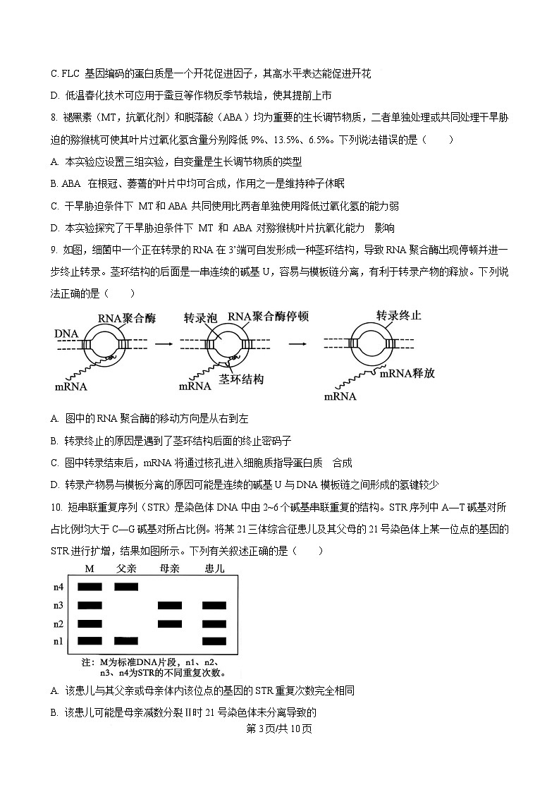 河北省衡水市高中联考2026届高三上学期质检（一）生物 含解析第3页