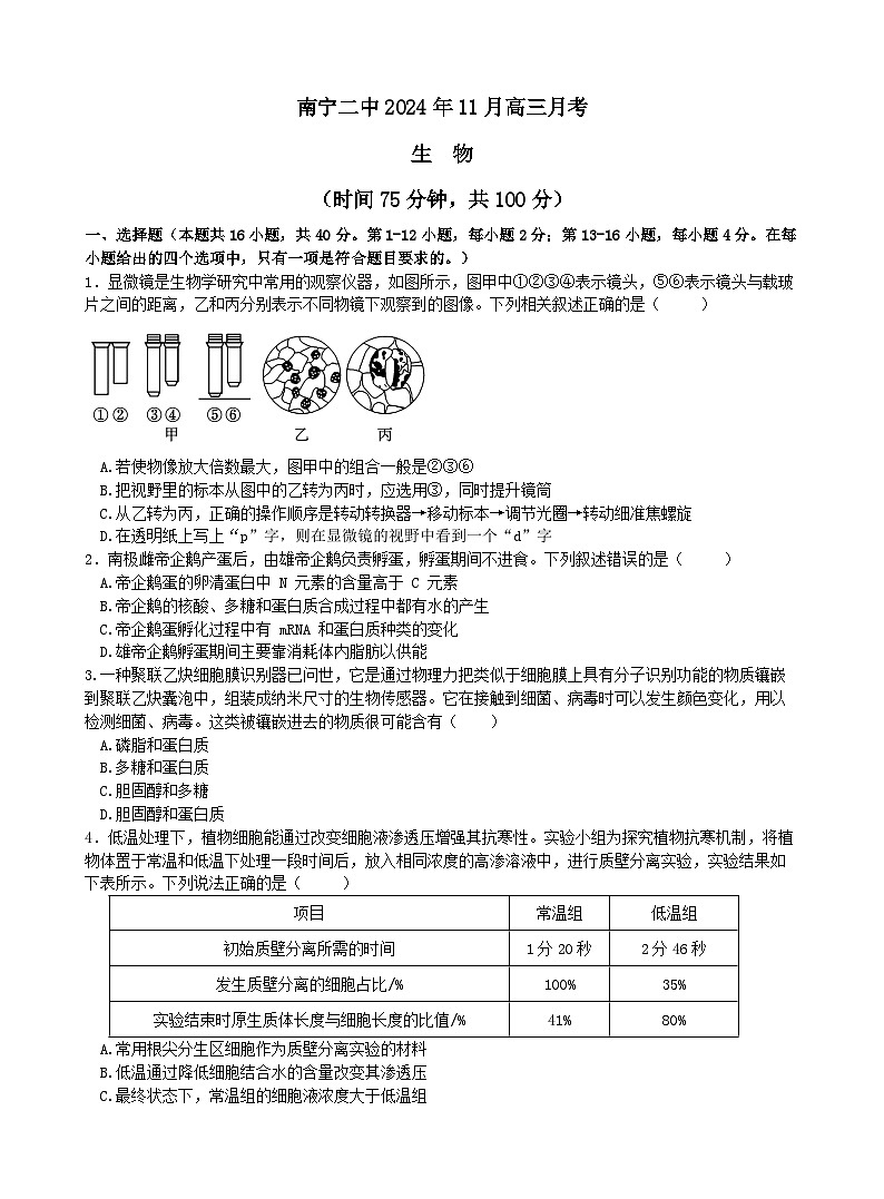 广西南宁市第二中学2024-2025学年高三上学期11月月考生物第1页