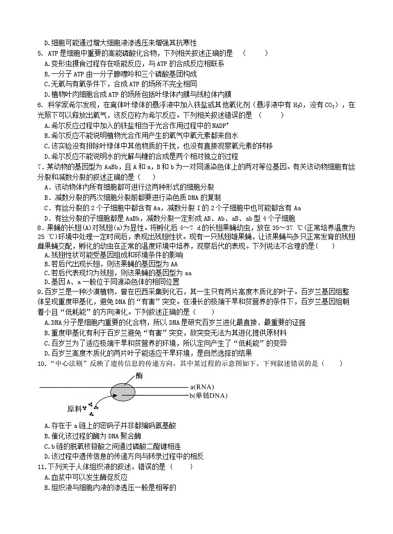 广西南宁市第二中学2024-2025学年高三上学期11月月考生物第2页