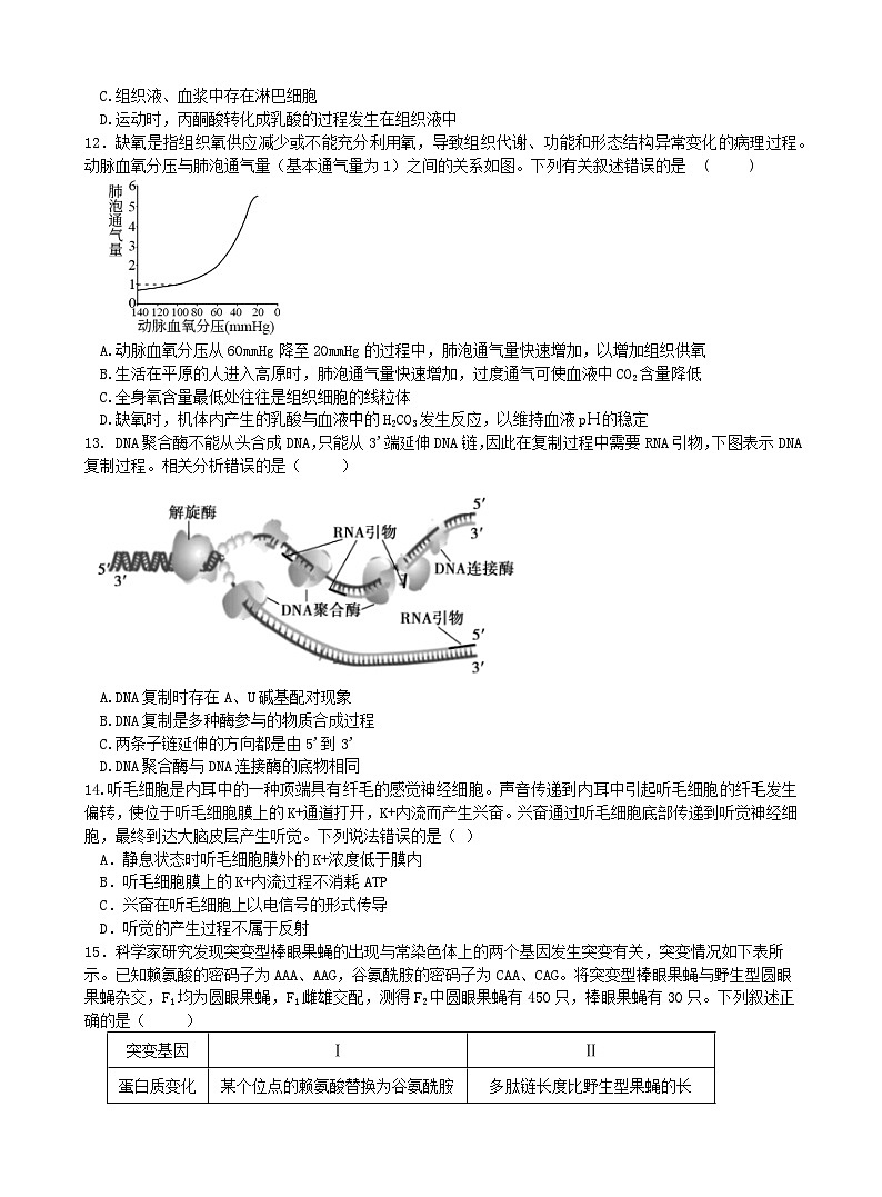 广西南宁市第二中学2024-2025学年高三上学期11月月考生物第3页