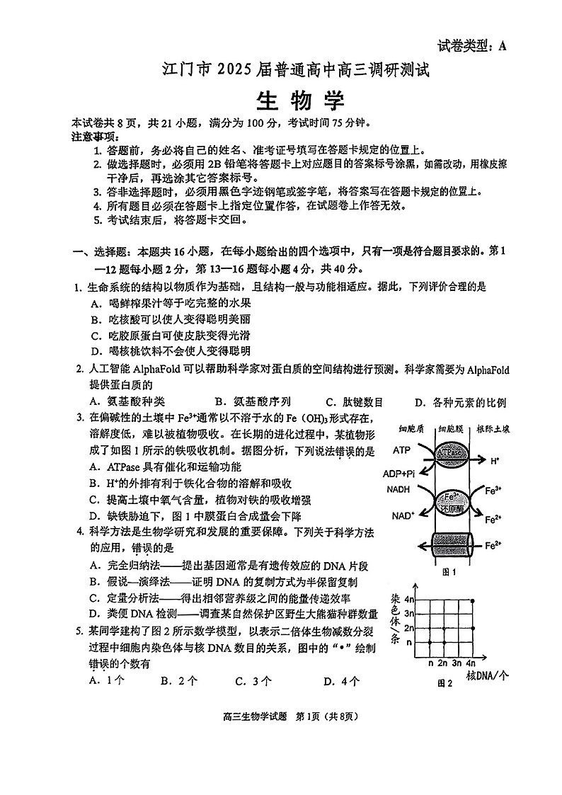 2025届广东省江门市高三下学期10月调研考-生物试题（含答案）第1页