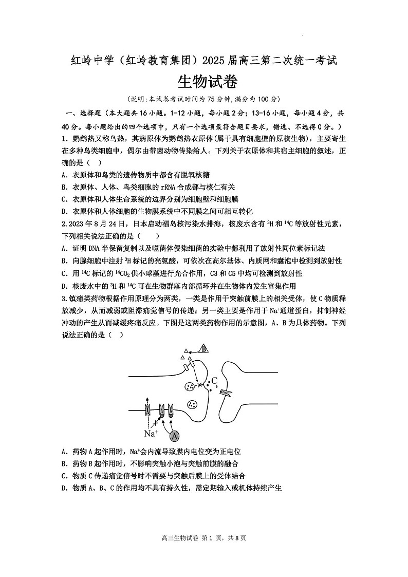 2025届广东省深圳市红岭中学高三下学期第二次统一考试-生物试题（含答案）第1页