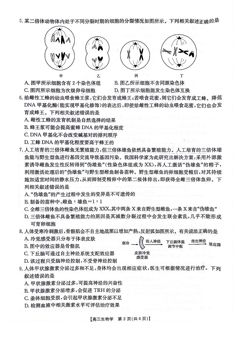 2025届贵州省金太阳高三下学期10月联考-生物试题（含答案）第2页