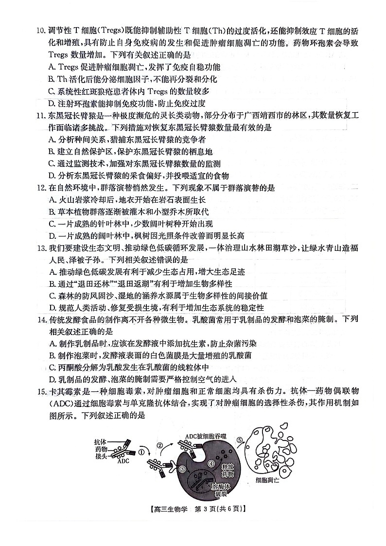 2025届贵州省金太阳高三下学期10月联考-生物试题（含答案）第3页