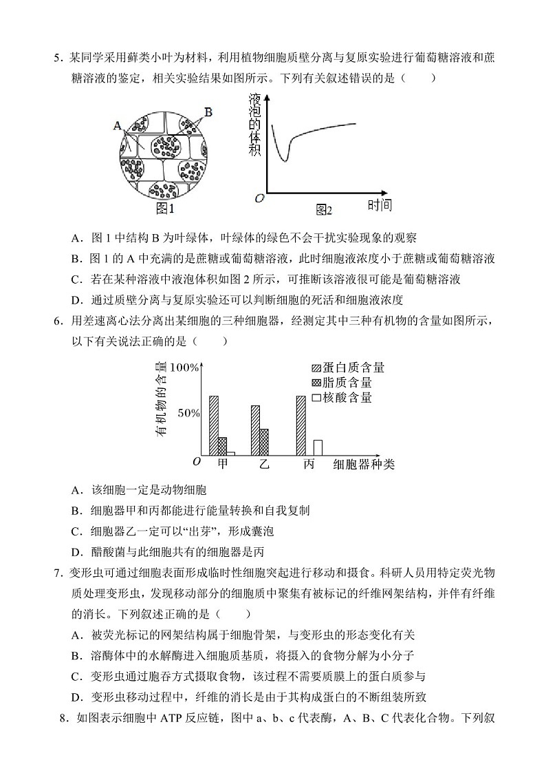 2025届海南省文昌中学高三下学期10月第二次月考-生物试题（含答案）第2页