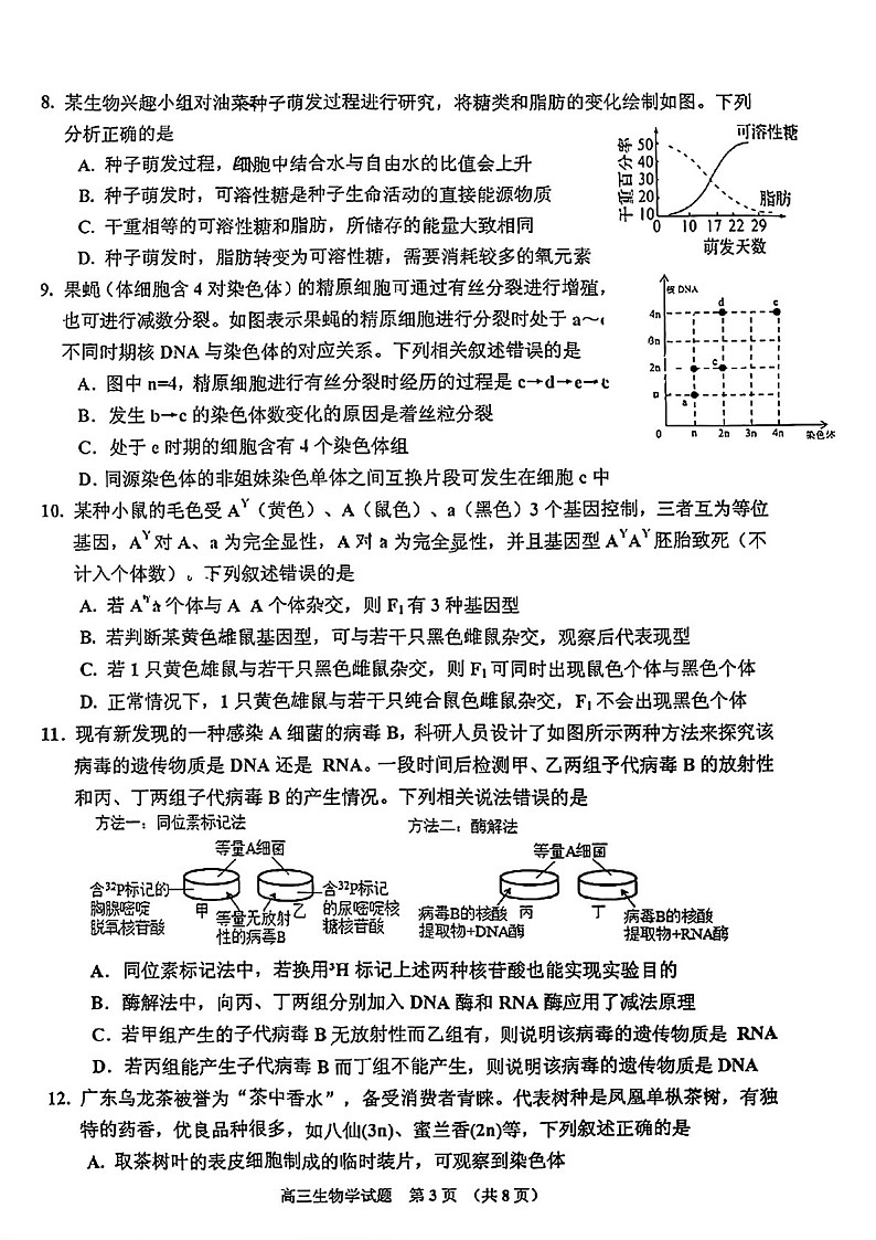 2025届吉林省吉林市高三下学期10月一模考试-生物试题（含答案）第3页