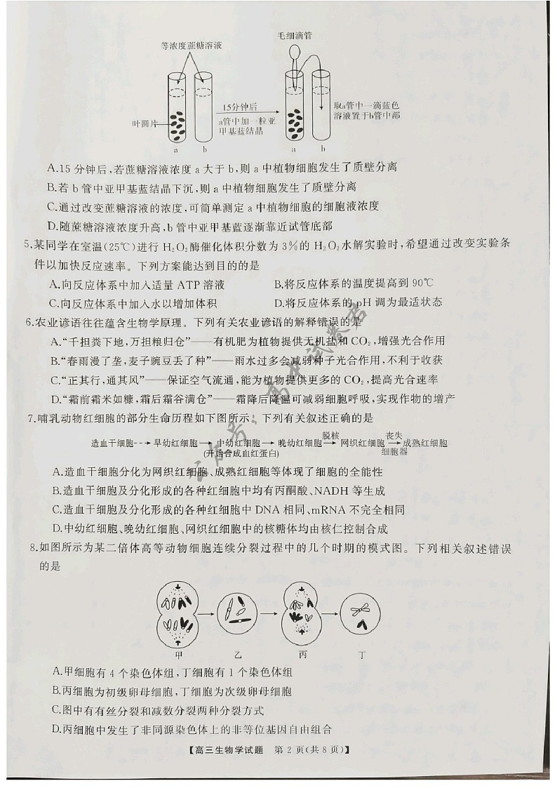 2025届山西省三重教育高三下学期10月联考-生物试题（含答案）第2页
