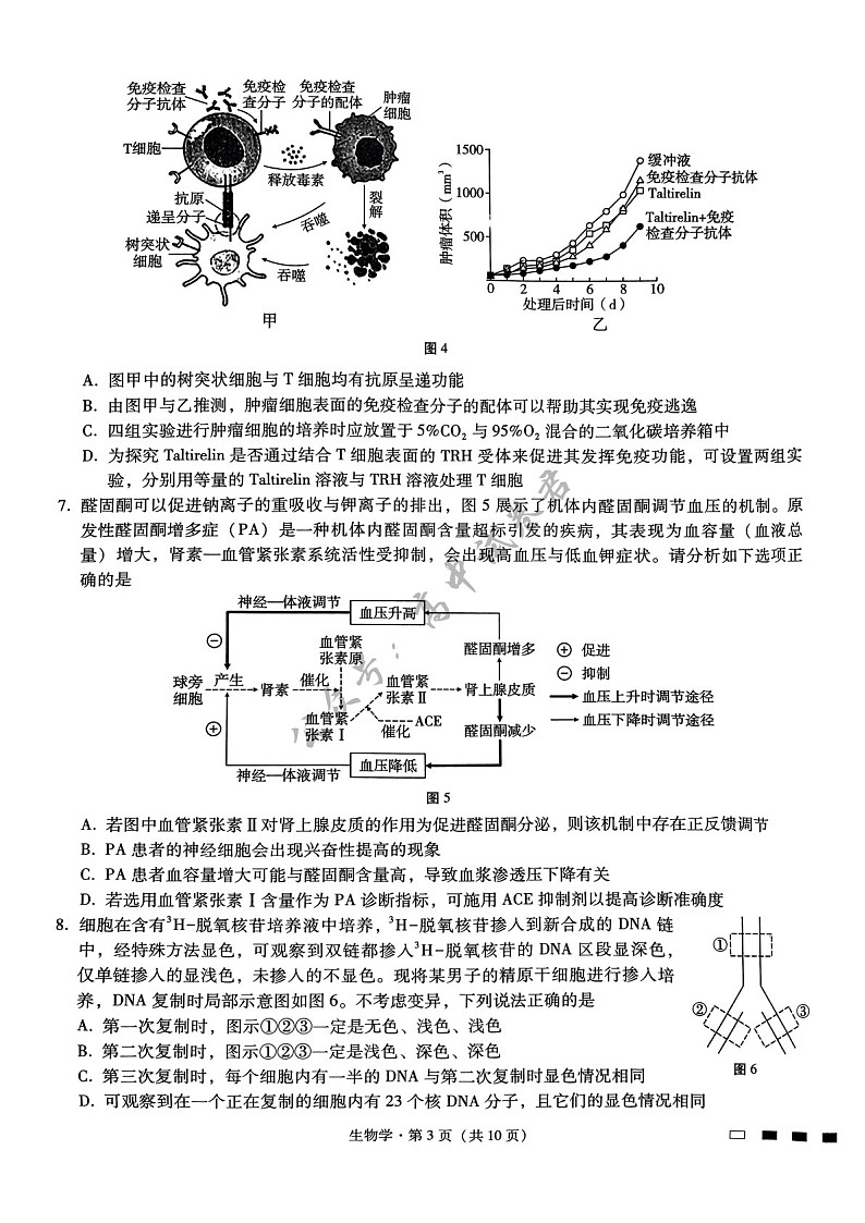 2025届重庆市第八中学高三下学期适应性月考卷-生物试题（含答案）第3页