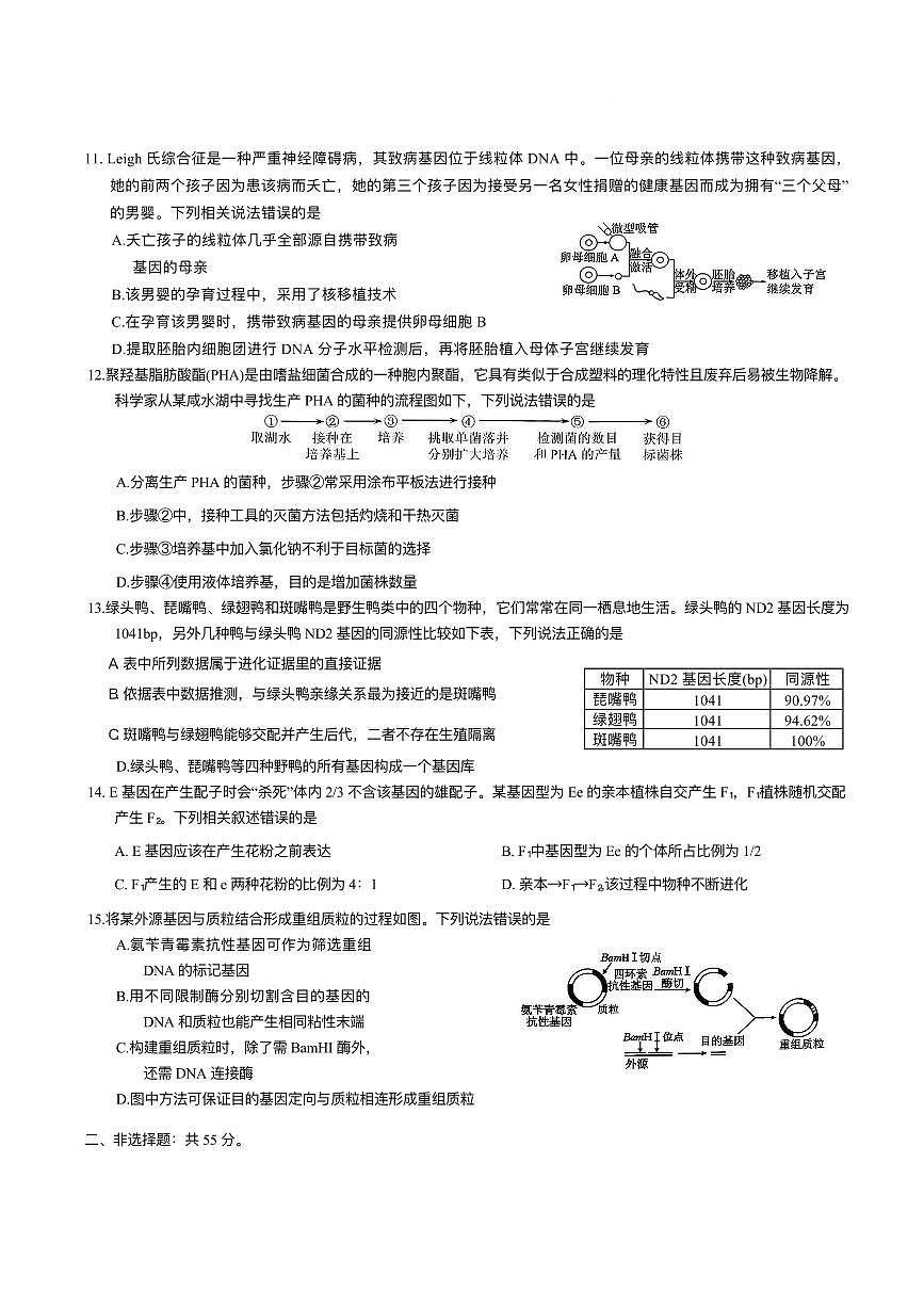 重庆市康德教育2026届高三上学期9月调研测试生物试题（PDF版附解析）第3页