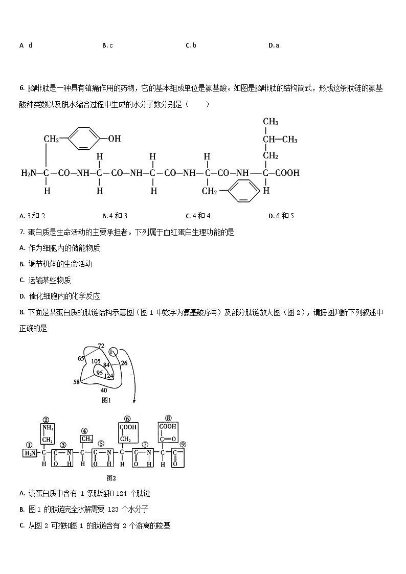 吉林省通化市梅河口市第五中学2025-2026学年高二上学期开学考试生物试卷第2页