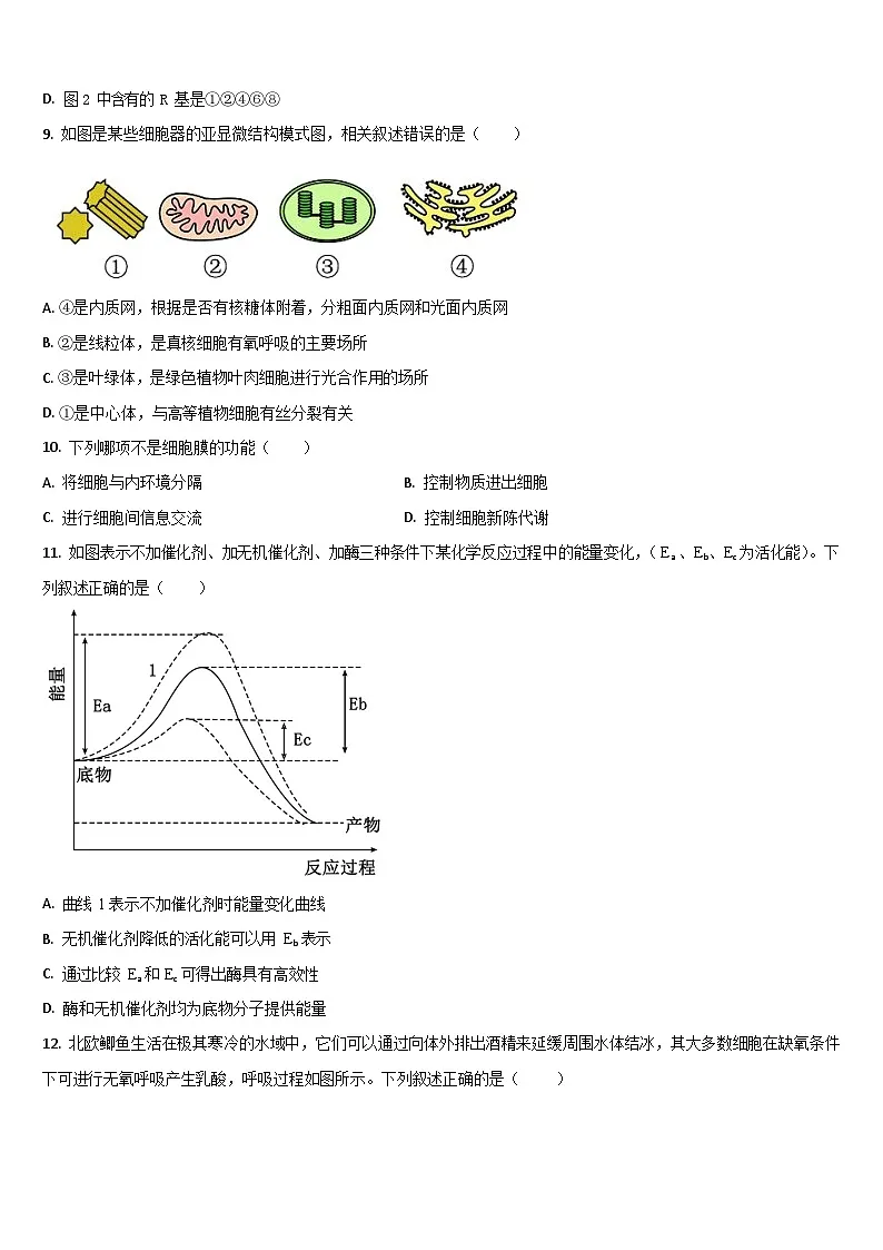 吉林省通化市梅河口市第五中学2025-2026学年高二上学期开学考试生物试卷第3页