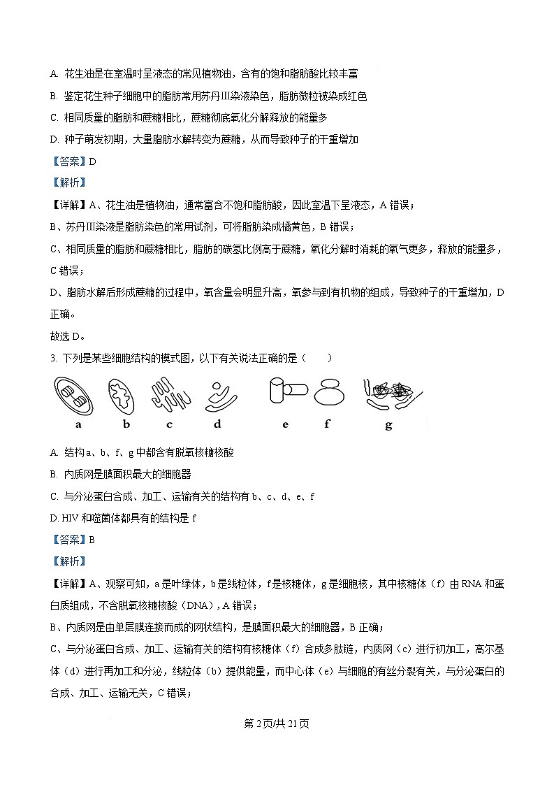 重庆市七校联盟2026届高三上学期第一次适应性考试 生物答案第2页