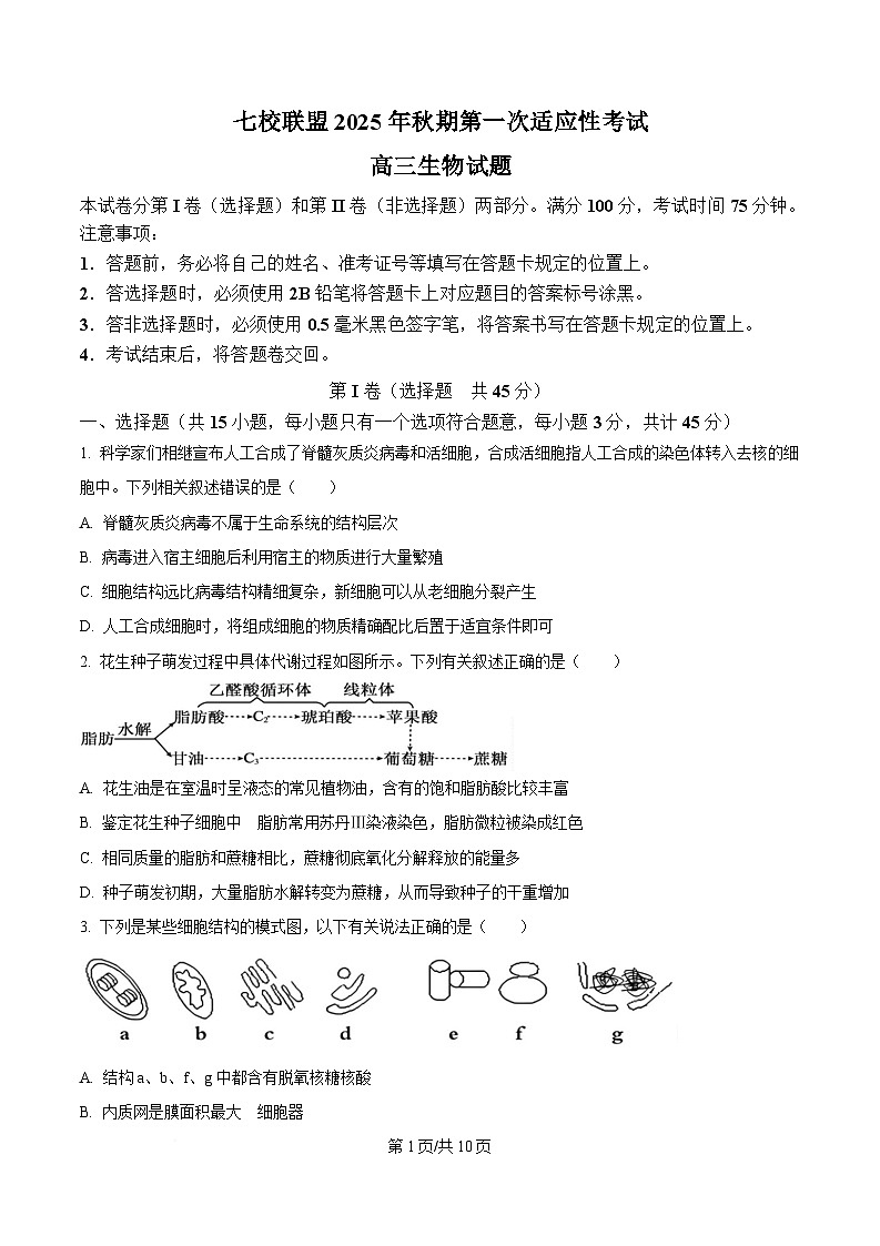 重庆市七校联盟2026届高三上学期第一次适应性考试 生物第1页