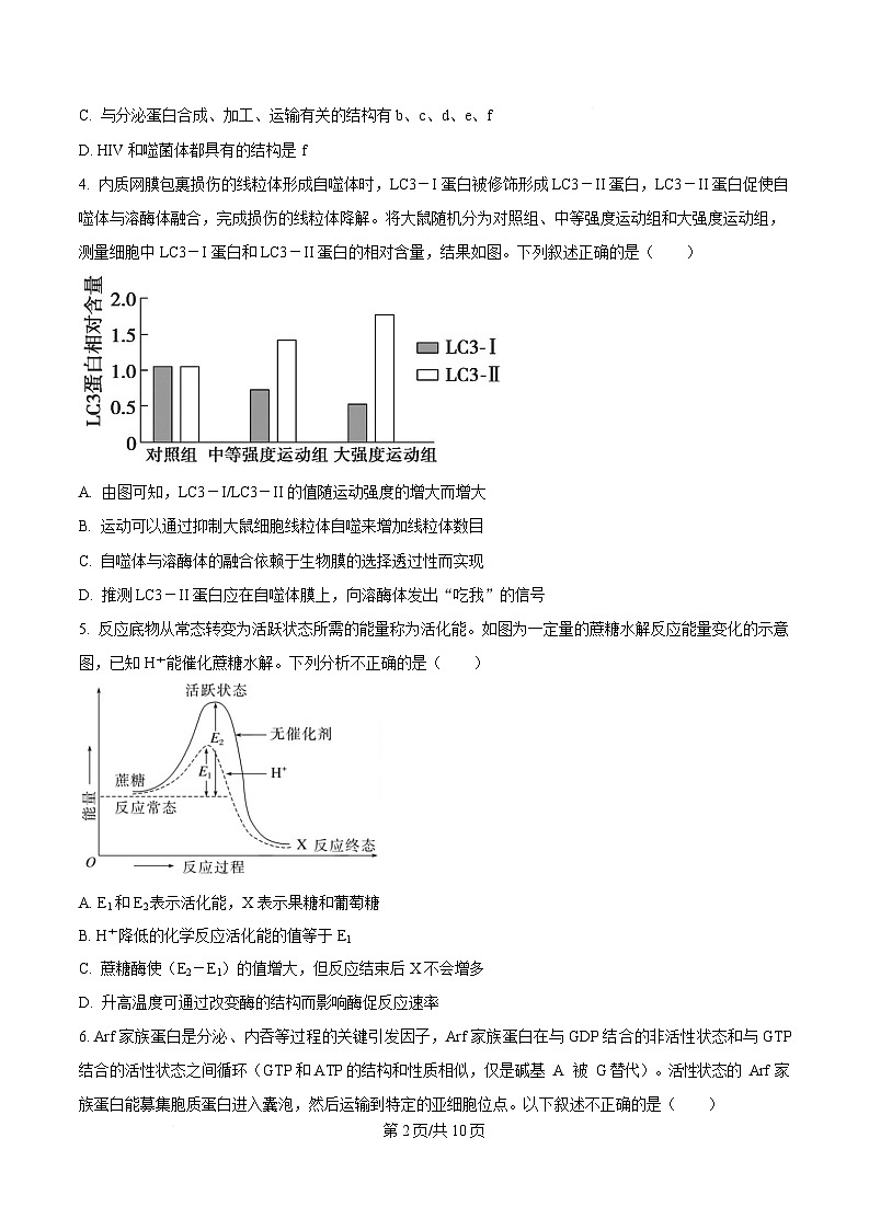 重庆市七校联盟2026届高三上学期第一次适应性考试 生物第2页