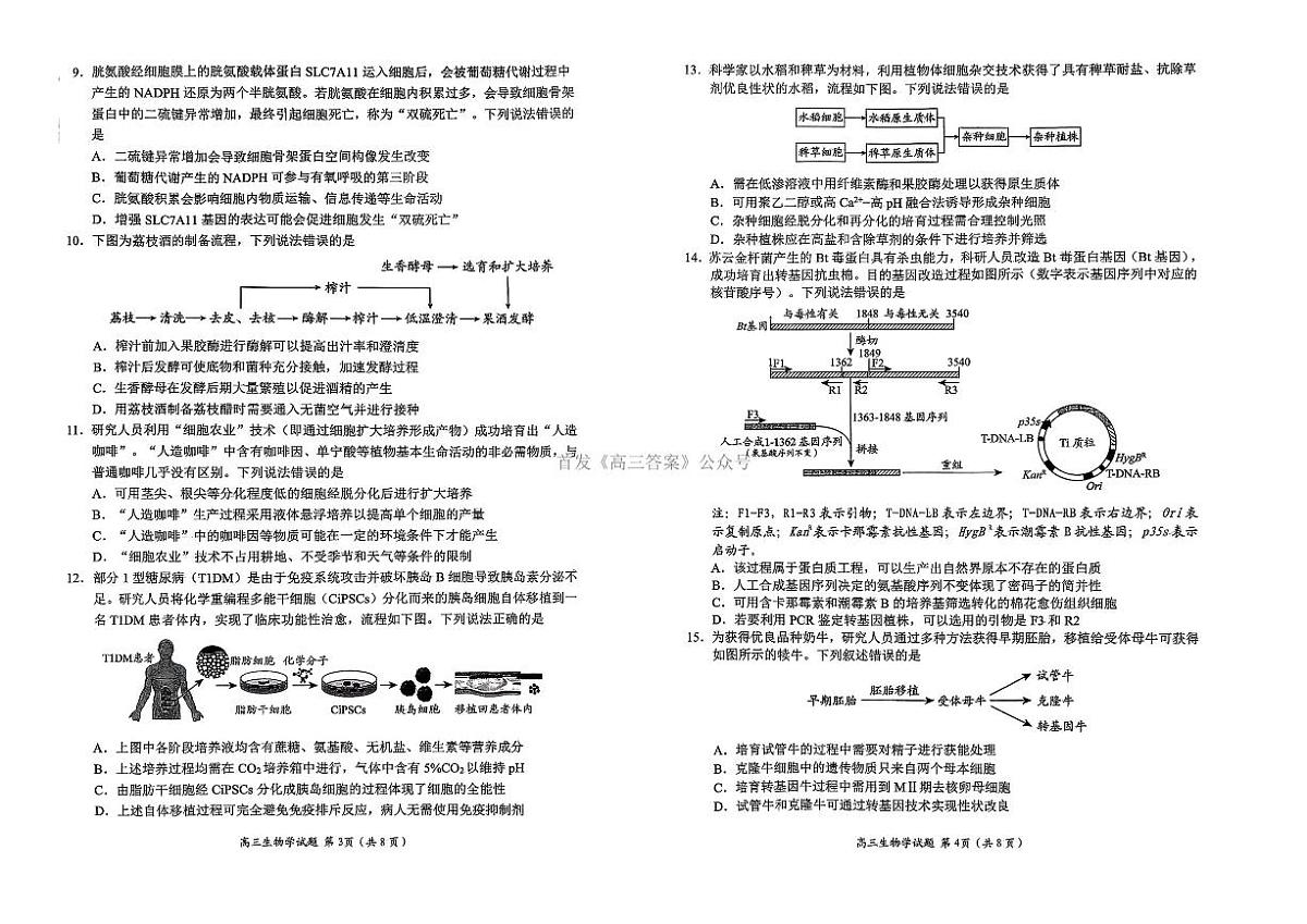 2025年日照高三上学期开学9月生物试题无答案第2页
