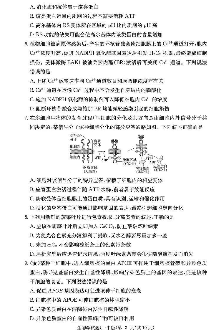 湖南省长沙市第一中学2026届高三上学期月考（一）生物试卷（PDF版附解析）第2页