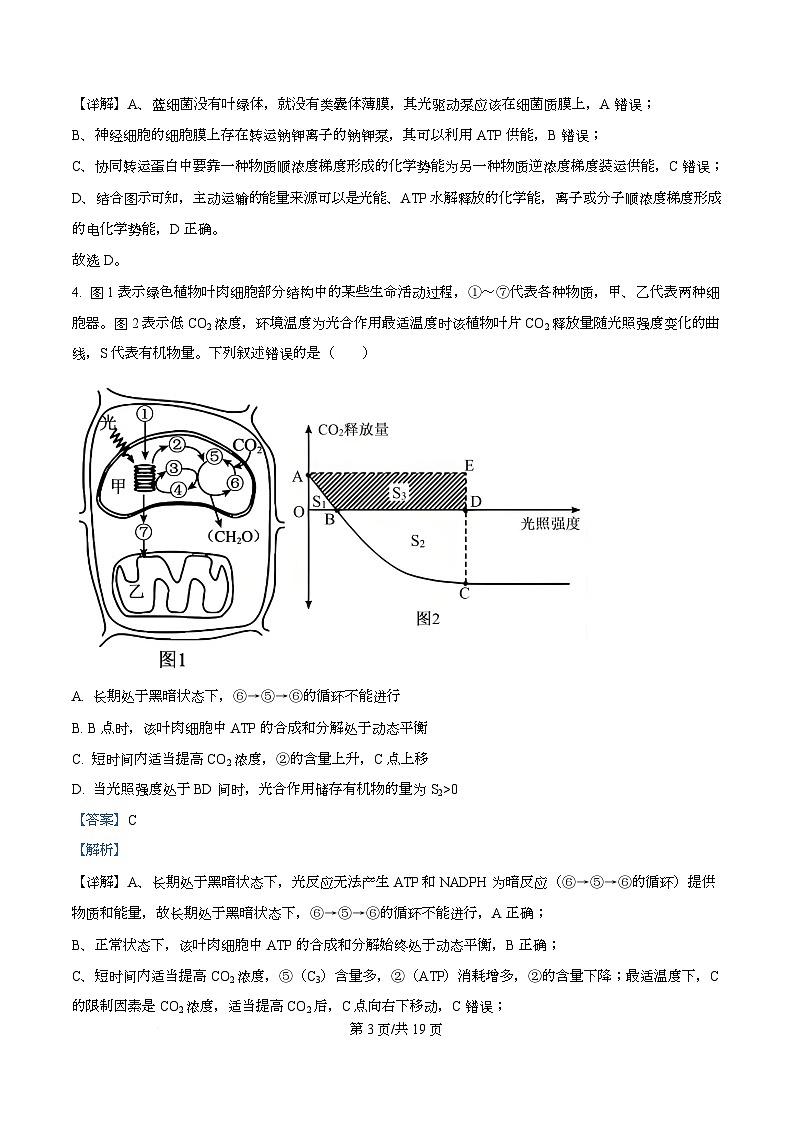 四川省广安市广安中学2026届高三上学期“零诊”模拟考试生物试题 Word版含解析第3页