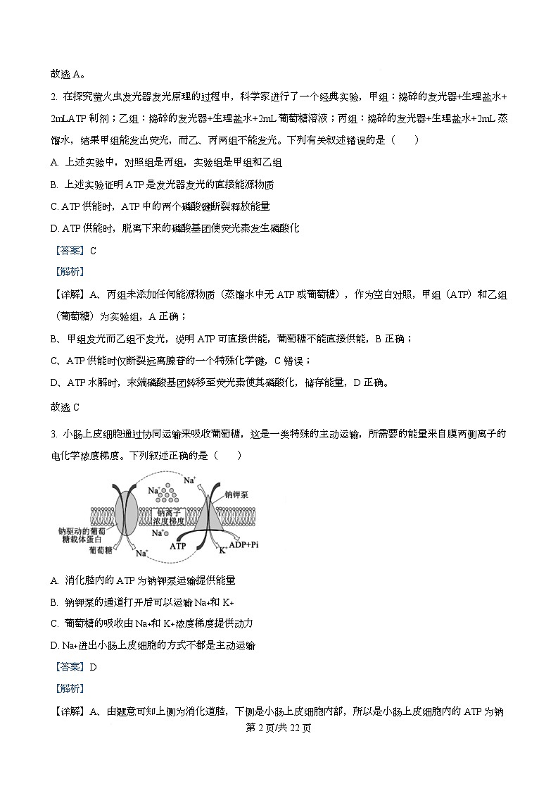 四川省广安市华蓥中学2026届高三上学期8月月考生物试题 Word版含解析第2页