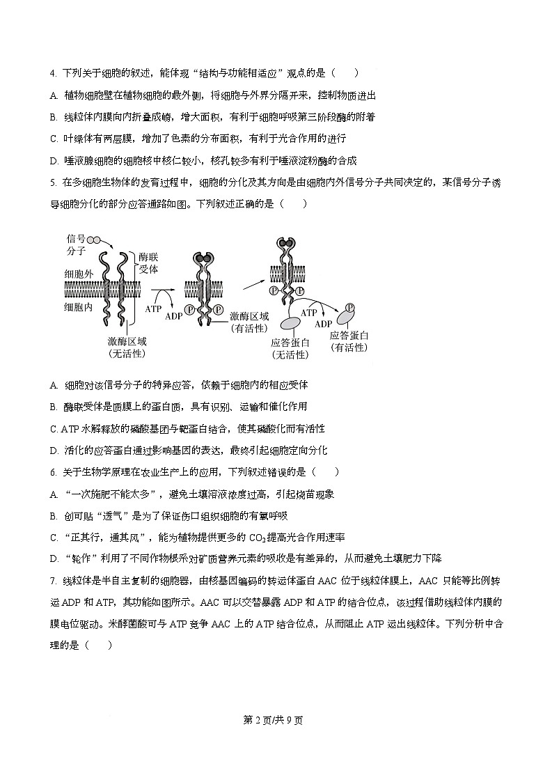 四川省资阳市资阳中学2026届高三上学期开学检测生物试题（原卷版）第2页