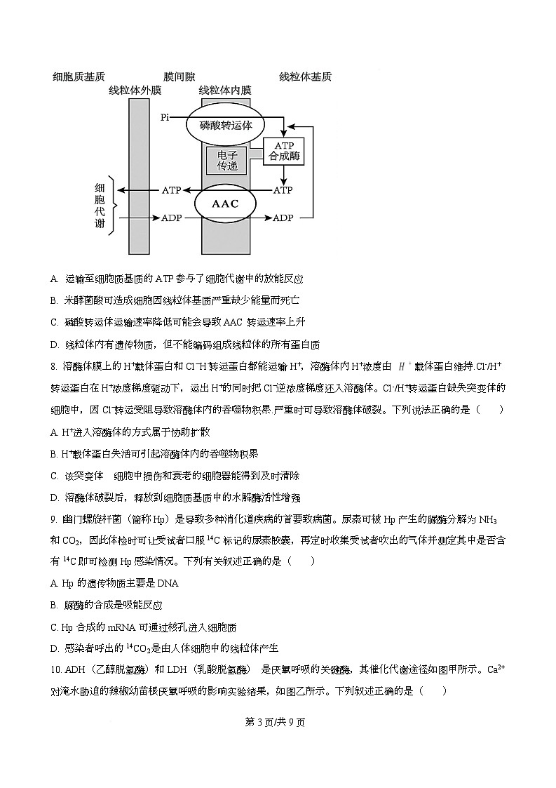 四川省资阳市资阳中学2026届高三上学期开学检测生物试题（原卷版）第3页