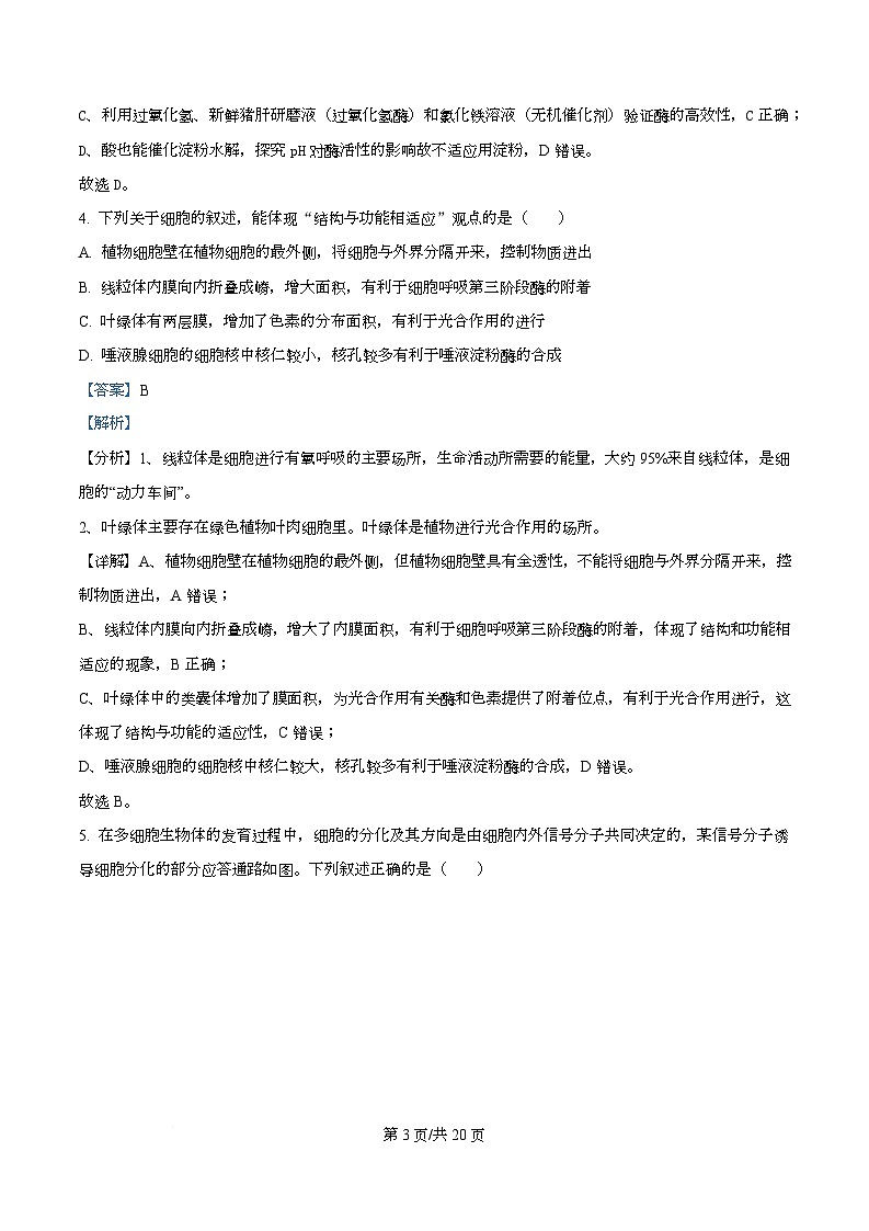 四川省资阳市资阳中学2026届高三上学期开学检测生物试题 Word版含解析第3页
