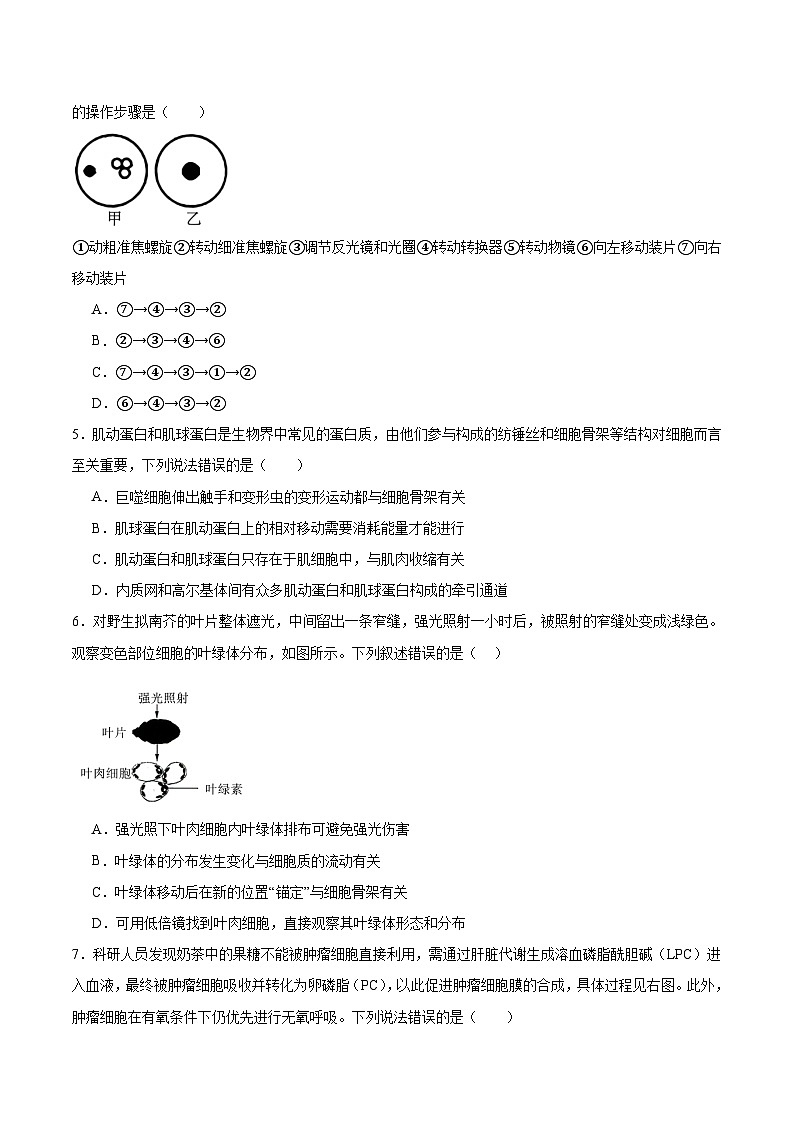 重庆市西南大学附属中学、育才中学2026届高三上学期入学联合诊断性考试生物试卷（Word版附答案）第2页