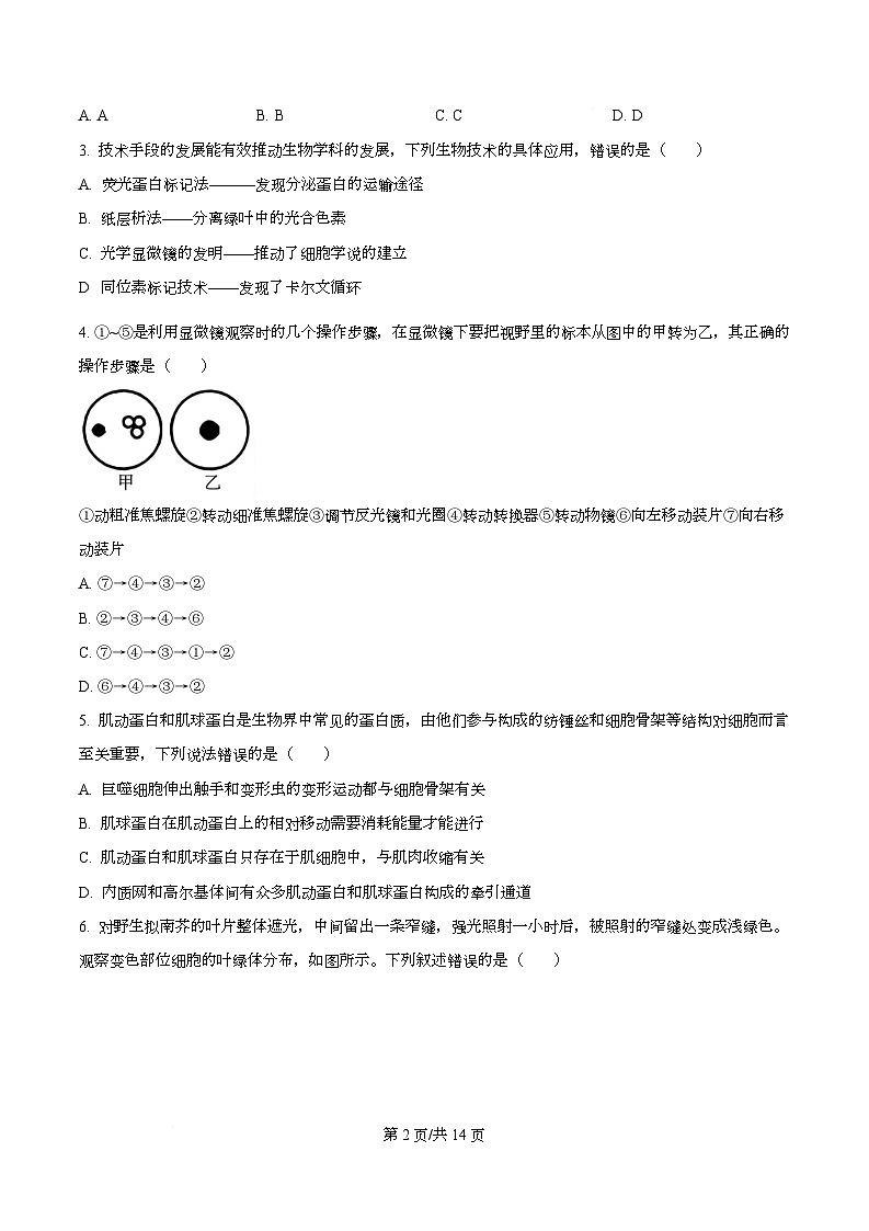 重庆市育才中学、西南大学附属中学2026届高三上学期9月开学考试生物试题（原卷版）第2页