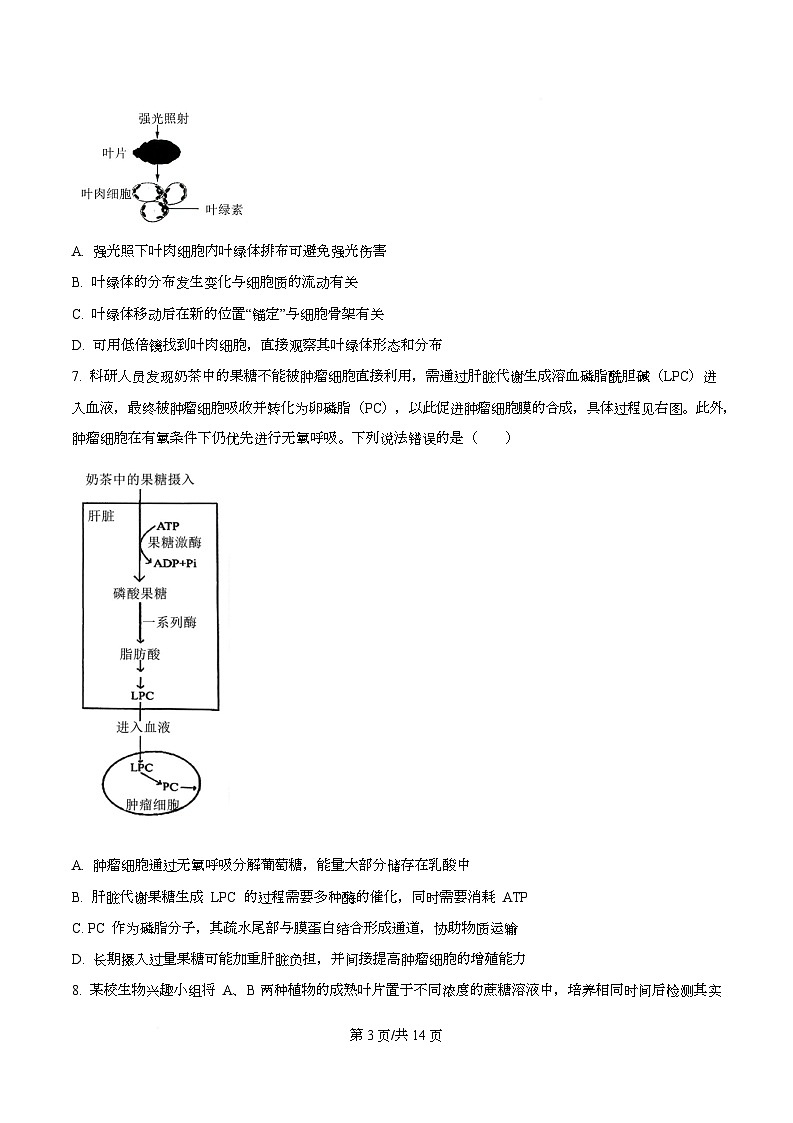 重庆市育才中学、西南大学附属中学2026届高三上学期9月开学考试生物试题（原卷版）第3页