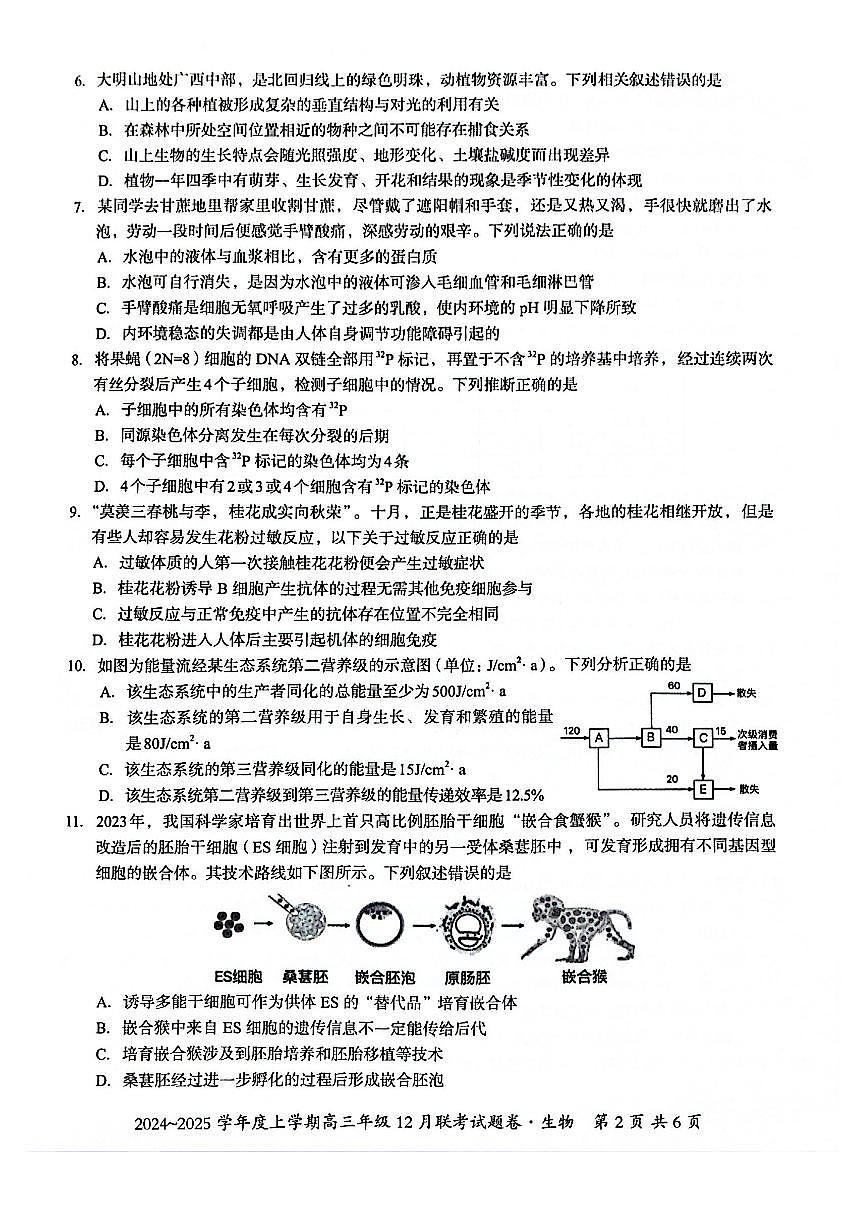 广西壮族自治区邕衡教育•名校联盟2024年-2025年度上学期高三年级12月联考生物试卷+答案第2页