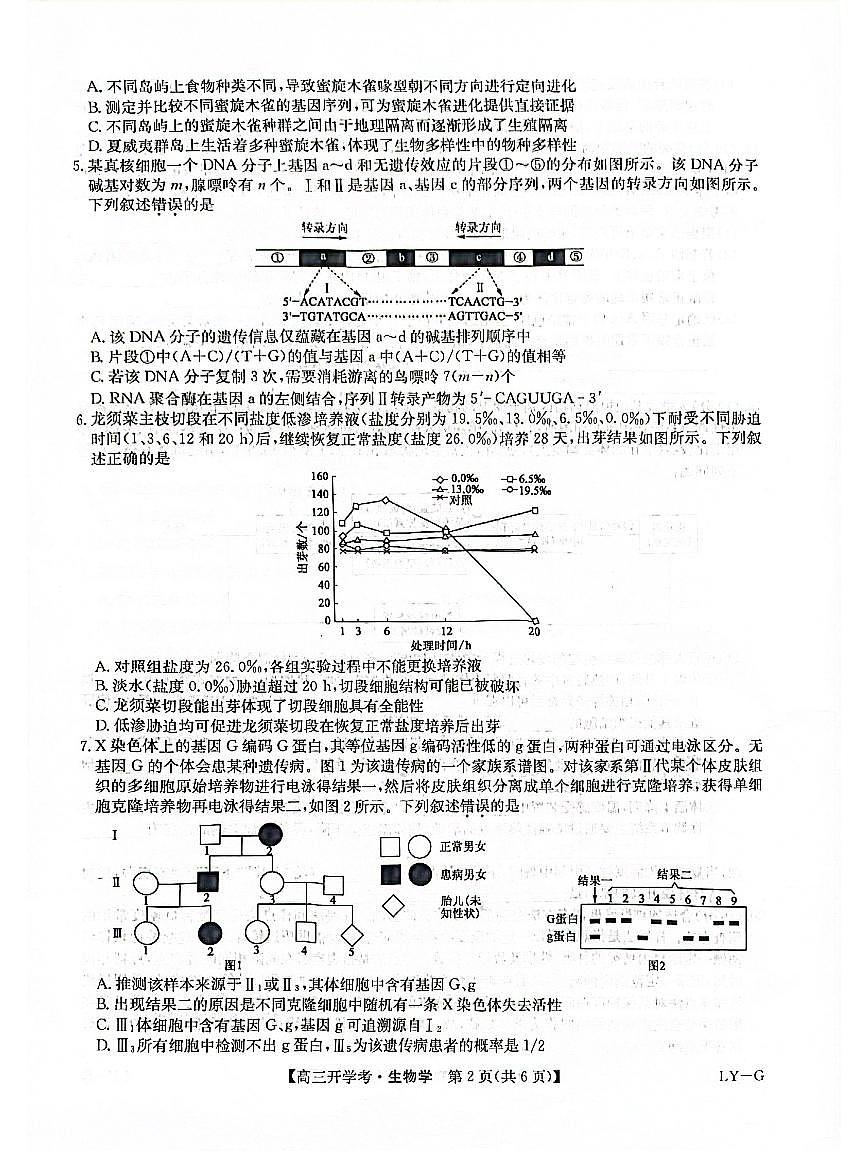 河南省九师联盟2026届高三上学期9月联考-生物试题+答案第2页