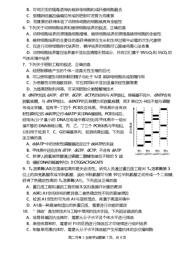 福建省龙岩市连城县第一中学2024-2025学年高二下学期5月月考2生物学试卷（含答案）第2页