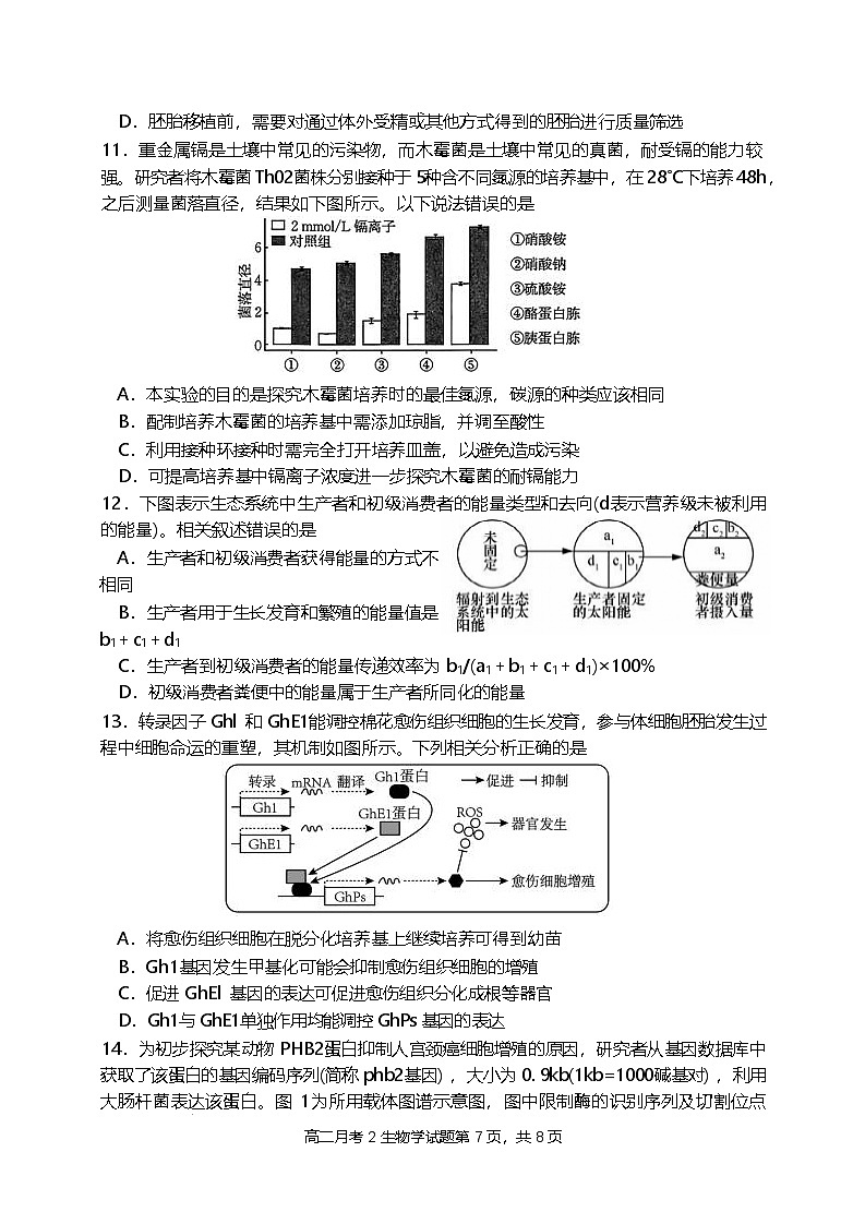 福建省龙岩市连城县第一中学2024-2025学年高二下学期5月月考2生物学试卷（含答案）第3页