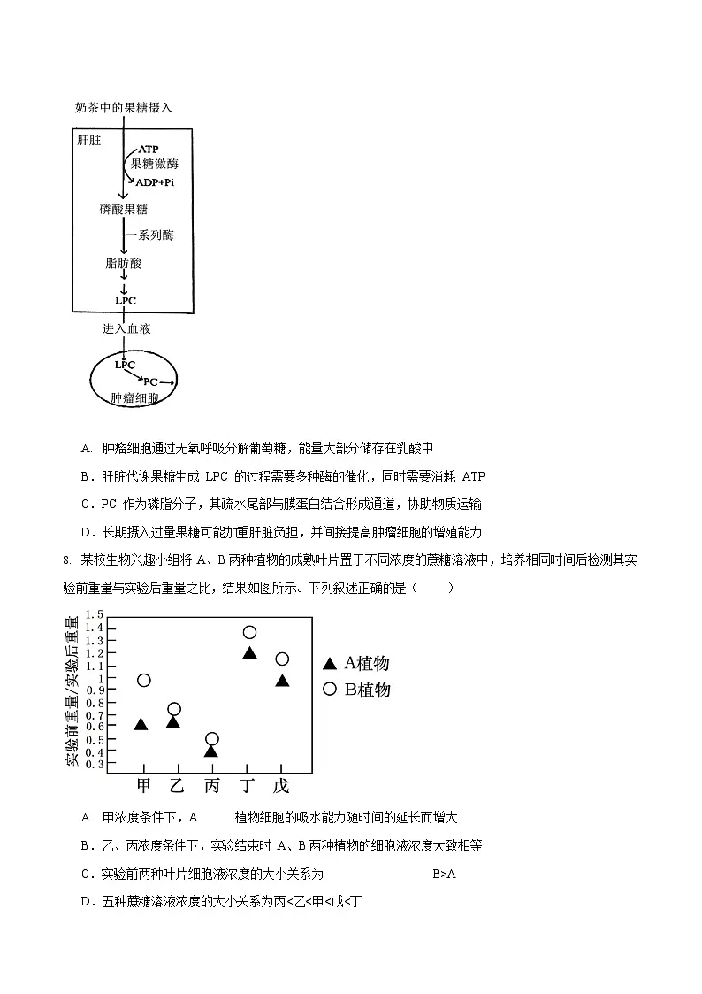 重庆市育才中学校、西南大学附属中学校2025-2026学年高三上学期开学考试生物试卷第3页