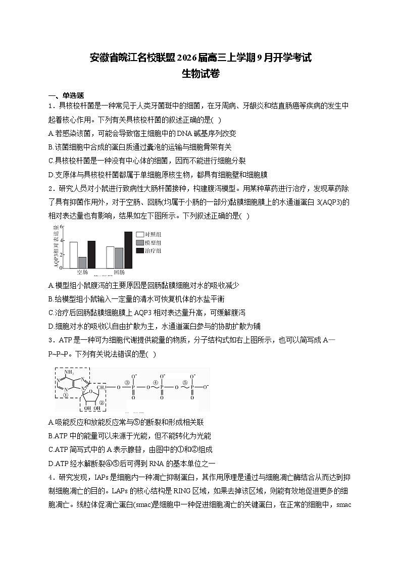 安徽省皖江名校联盟2026届高三上学期9月开学摸底考试生物试卷（Word版附答案）第1页