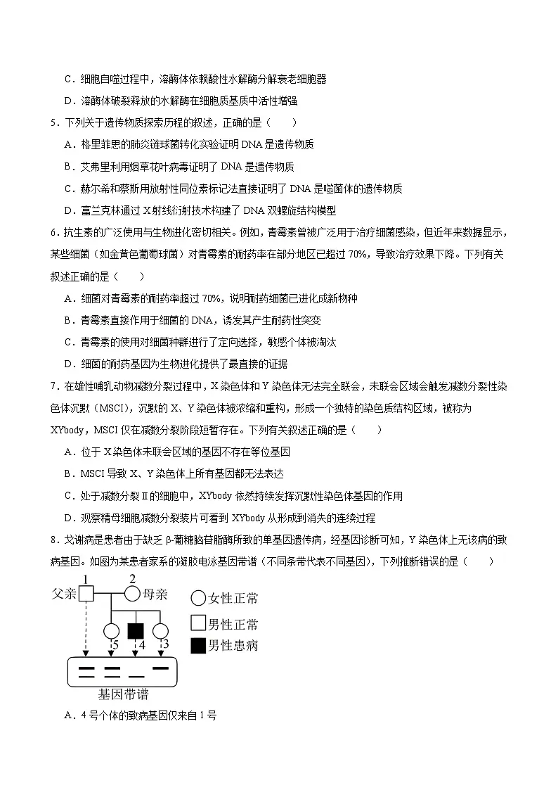 河南省百师联盟2026届高三上学期开学摸底联考生物试卷（Word版附答案）第2页
