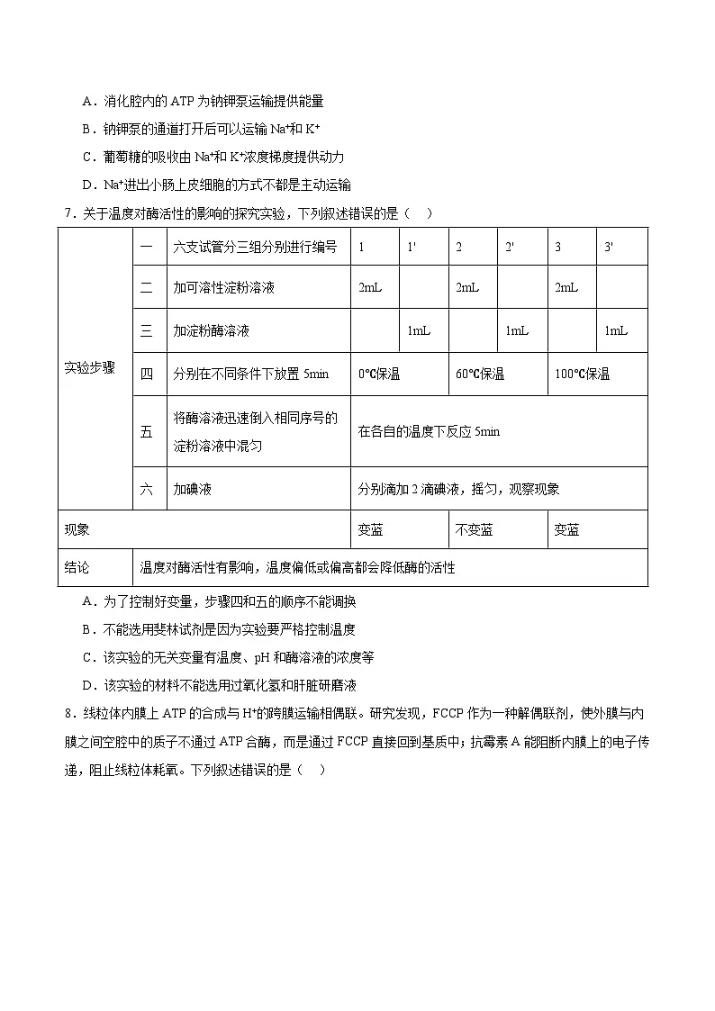 四川省成都市蓉城名校联盟2025-2026学年高三上学期开学联考生物试卷（Word版附答案）第3页