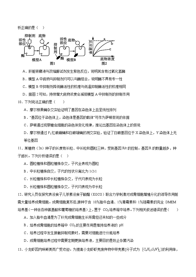 四川省泸州市龙马潭区4校2026届高三上学期开学联考生物试卷（Word版附答案）第3页