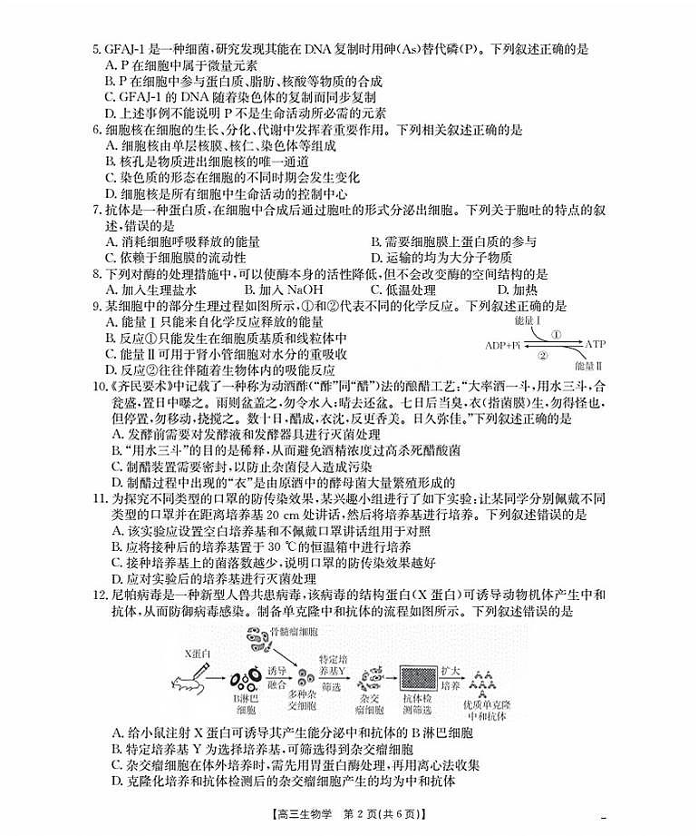 辽宁省金太阳2026届高三上学期9月开学联考（26-16C）生物试卷+答案第2页