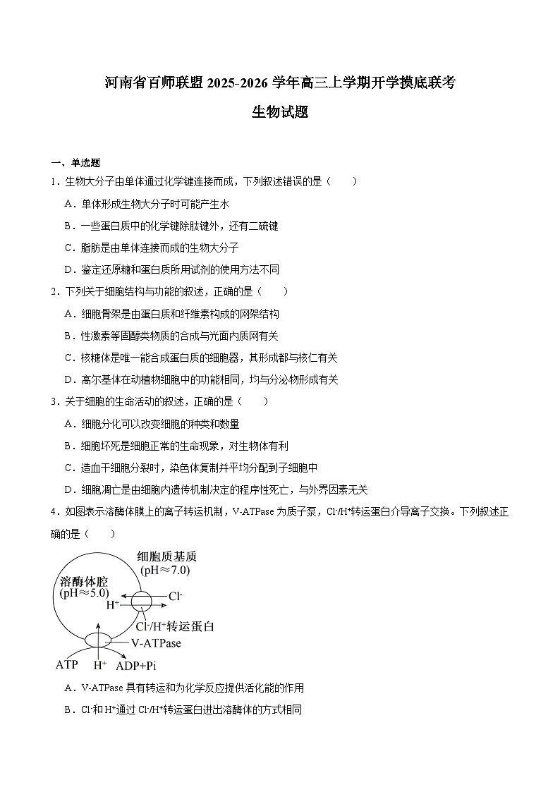 河南省百师联盟2026届高三上学期开学摸底联考试题生物Word版含答案第1页