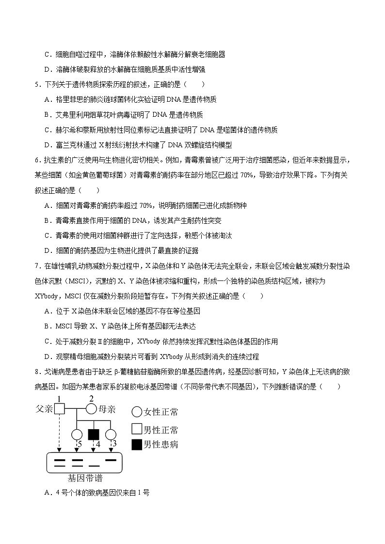 河南省百师联盟2026届高三上学期开学摸底联考试题生物Word版含答案第2页