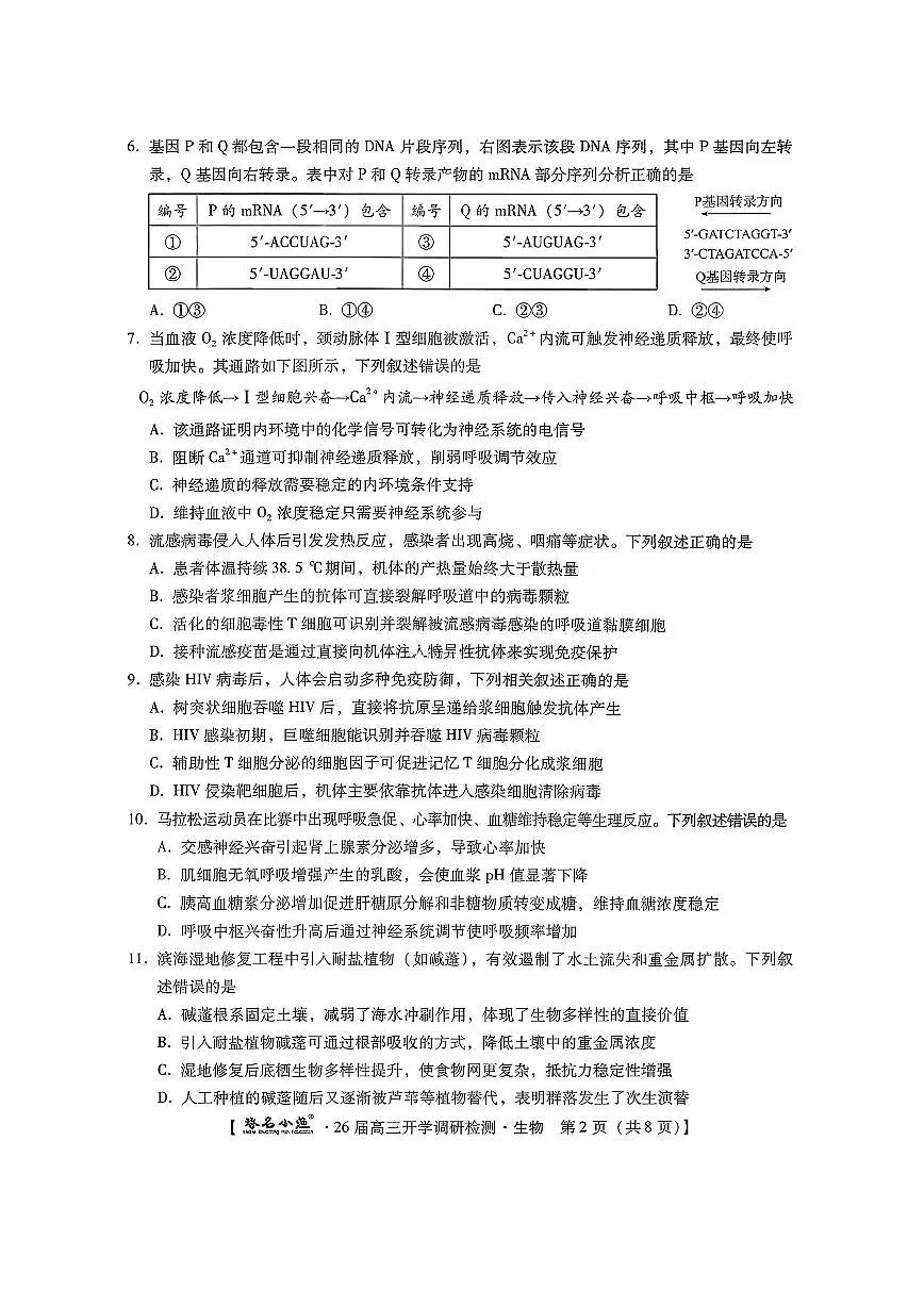 河北省琢名小渔名校联考2025-2026学年高三上学期开学调研检测生物试题（含答案）第2页