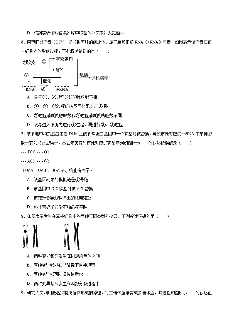 河南省普通高中2024-2025学年高一下学期7月期末考试 生物 Word版含答案第2页