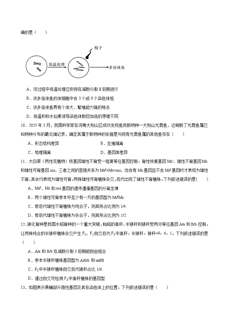 河南省普通高中2024-2025学年高一下学期7月期末考试 生物 Word版含答案第3页