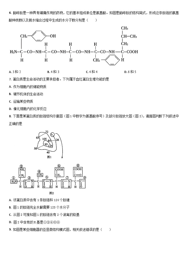 吉林省通化市梅河口市第五中学2025-2026学年高二上学期开学生物试题（含答案）第2页