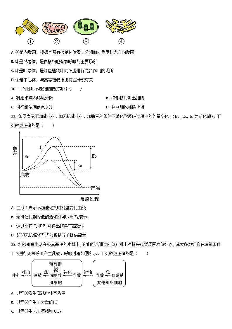 吉林省通化市梅河口市第五中学2025-2026学年高二上学期开学生物试题（含答案）第3页