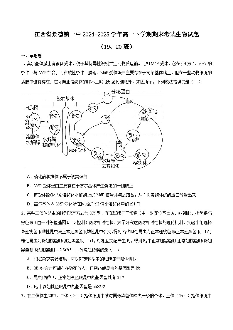 江西省景德镇一中2024-2025学年高一下学期期末考试生物试卷（19、20班）（有答案）第1页