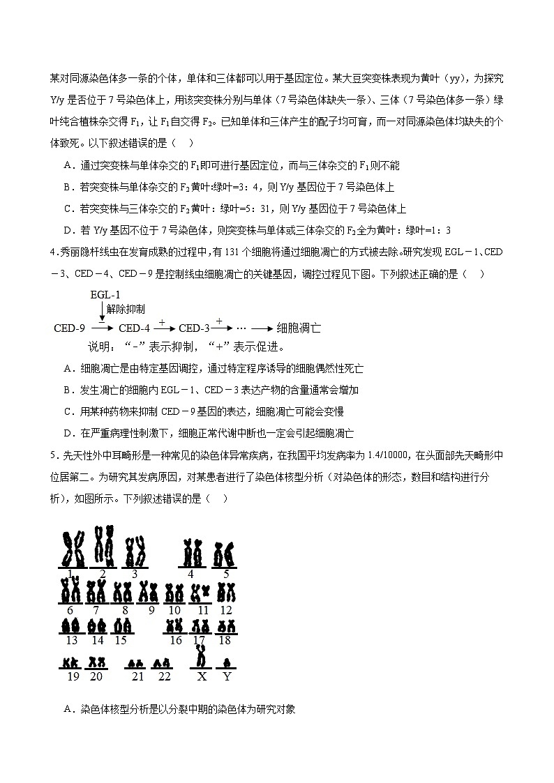 江西省景德镇一中2024-2025学年高一下学期期末考试生物试卷（19、20班）（有答案）第2页