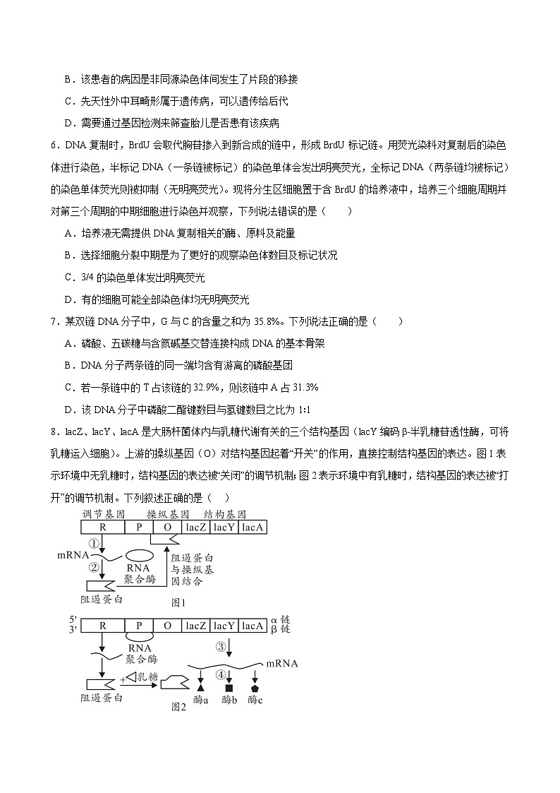 江西省景德镇一中2024-2025学年高一下学期期末考试生物试卷（19、20班）（有答案）第3页